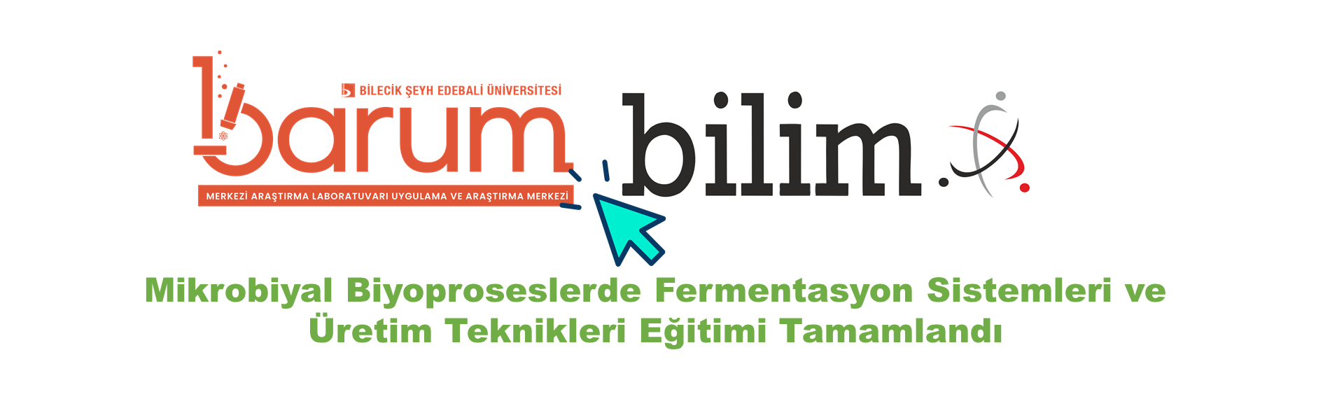 surgu fotoğraf 5569